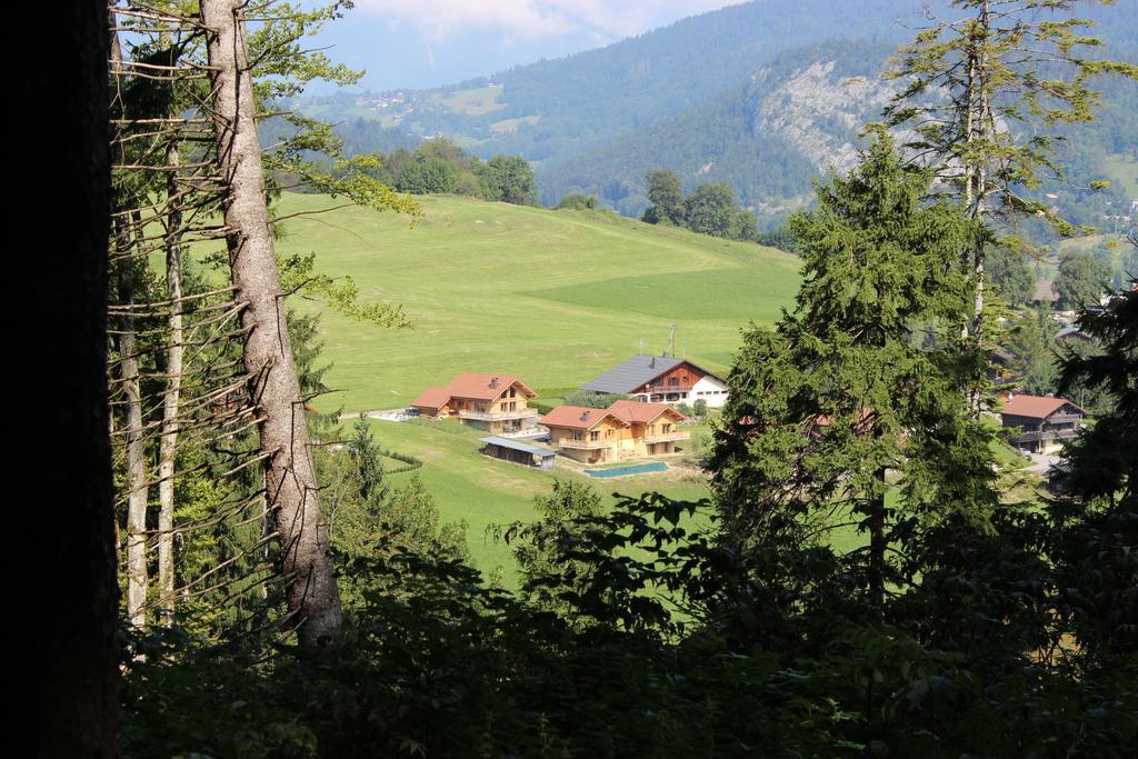 Le Chalet D'Ulysse Araches-la-Frasse Ngoại thất bức ảnh